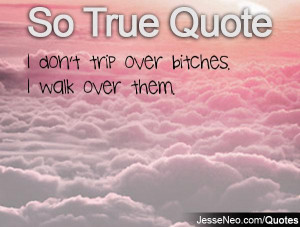 don t trip over bitches i walk over them category so true quotes