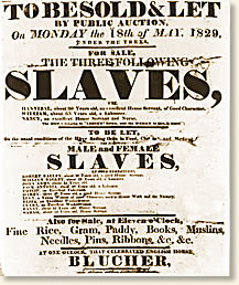Announcing a Slave Auction, 1829