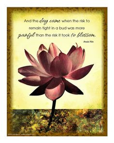 Lotus Flower 8 x 10 Print with Inspirational Quote by Anais Nin ...