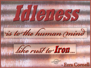 Idleness is to the human mind like rust to iron