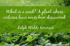 What is a weed? A weed is a plant whose virtues have not yet been ...