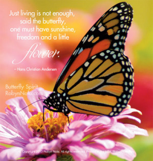 ... Butterfly Photography by Robyn Nola paired with Inspirational Quotes