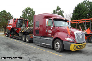 Morton Hunt Pictures