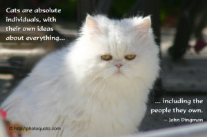 Quotes About Cats. QuotesGram