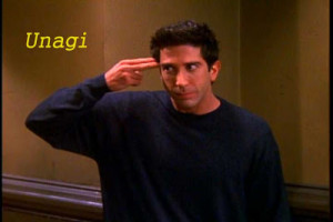 Happy Birthday to the RossMeister!