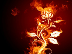 Para descargar este fondo de pantalla de Fire flower gratis haz clic ...