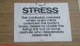 What Causes Stress Most Of The Times Funny Cute Picture