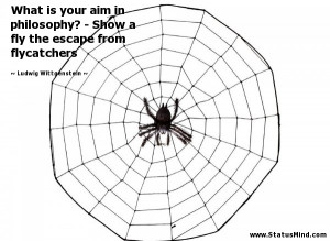 ... is your aim in philosophy? – Show a fly the escape from flycatchers