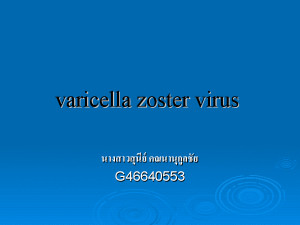 Varicella+zoster+virus
