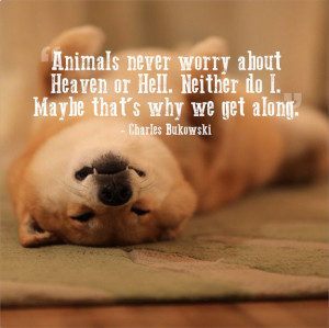 21 Quotes That Will Make You Want To Hug Your Pet