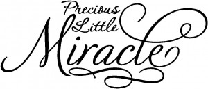 Nursery Wall Quotes - Precious Little Miracle