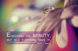 Confucius – Everything has Beauty Quote