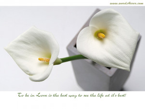 Beautiful Quotes For Your Beautiful Day