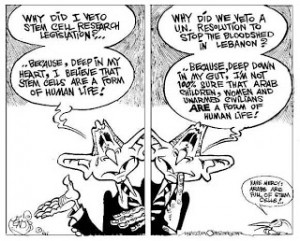 Stem Cells: Cartoon Stock {Images/quotes}...!!