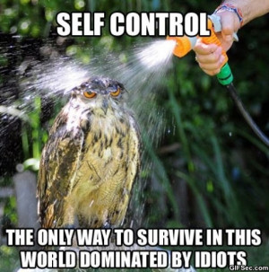 Self Control - Funny Pictures, MEME and Funny GIF from GIFSec.com