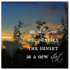 old soul more quotes words thoughts reverie quotes 2 a new beginning ...