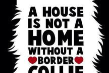 Favorite Quotes / by The Border Collie Community
