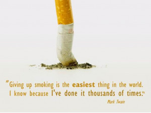 Home Hollywood Bollywood Sports Stars Birds 3D Religious Music Bikini