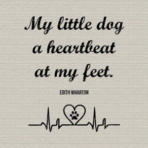 My little dog - a heartbeat at my feet.