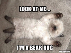 Funny Pictures – 32 Pics