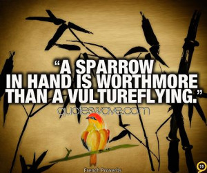 sparrow in hand is worth more than a vulture flying.