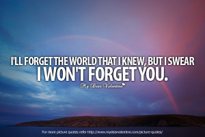 Amazing Love Quotes - I will forget the world