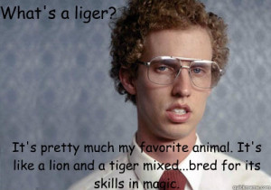 napolean dynamite--scene when he draws a liger---quickmeme.com