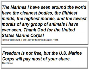Letter Written by a Mother of a Marine to My Marine Group