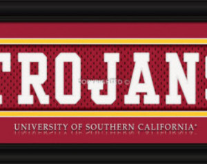 University of Southern California 