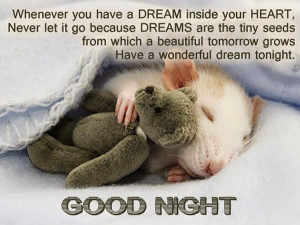 Have a wonderful dream tonight
