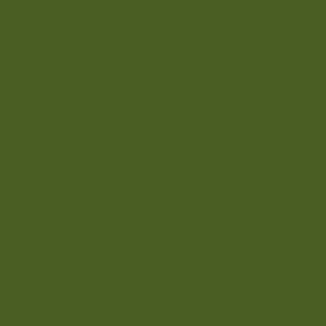 dark moss green color picture