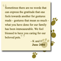 dog sympathy cards cat sympathy cards pet dog quotes loss