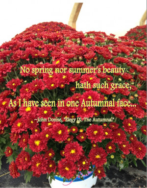 Gardening Quotes for Autumn