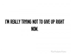 Home New Images Popular Images Random Images Upload