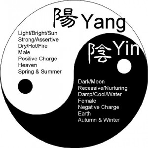 What’s in a Pair? Yin & Yang in Chinese Medicine