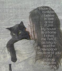 Cat Love Quotes Cat quote of love.