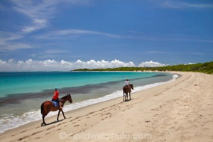 ... on horses, Natadola Beach, Coral Coast, Viti Levu, Fiji, South Pacific