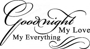 wall-quote-goodnight-my-love-my-everything-vinyl-wall-quote-10.jpg