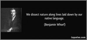 We dissect nature along lines laid down by our native language ...