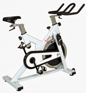 Sunny Health & Fitness SF-B1110 Premier Indoor Cycling Bike, review of ...