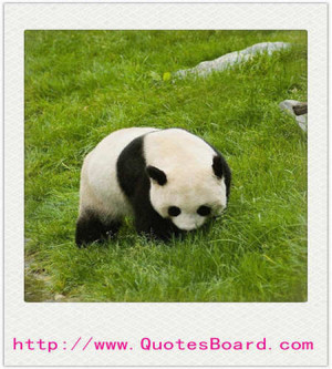 fair-weather friend changes with the wind. -Spanish Proverb