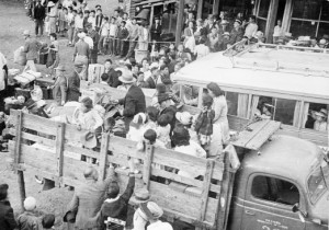 Japanese American Internment Camps Quotes