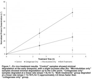 class of 2015 sayings sophomore