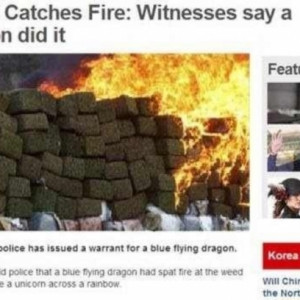 Pot Heads Claim Dragon Sets Weed On Fire While Riding a Unicorn Across ...
