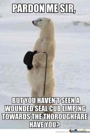 Well Mannered Polar Bear