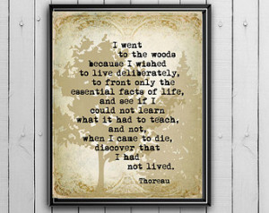 art print, Thoreau art print, Thoreau woods quote, inspirational quote ...