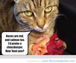 Funny-Valentines-Day-with-my-cat1.jpg