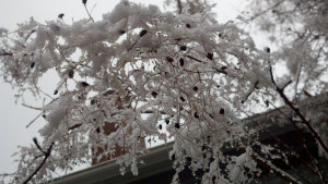 First Seattle Snow of 2012