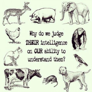 We are united in the fight for the voiceless