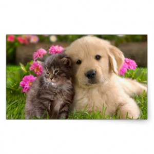 Puppies And Kittens Quotes #7